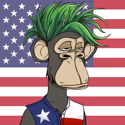 The Bored Ape Americans #3334