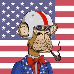 The Bored Ape Americans #560