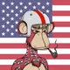 The Bored Ape Americans #1704