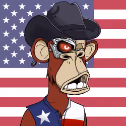 The Bored Ape Americans #507