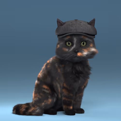 Fluffy Punkcats