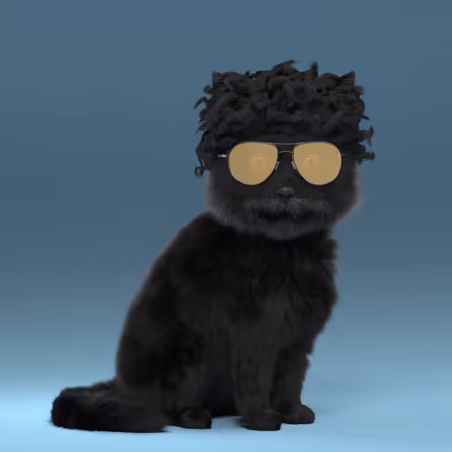 Fluffy Punkcats