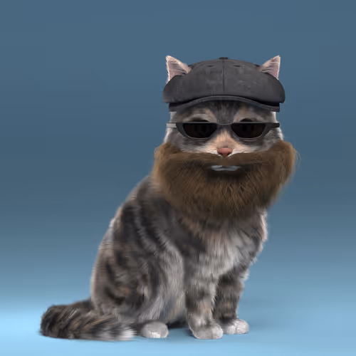 Fluffy PunkCat #6120
