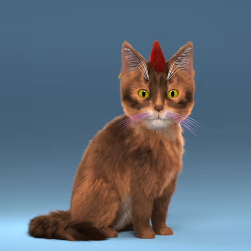 Fluffy Punkcats