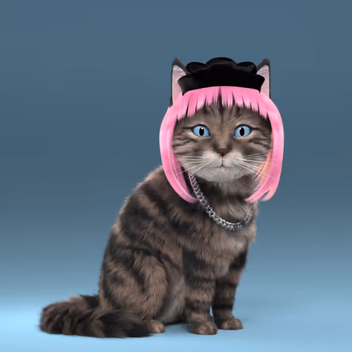 Fluffy Punkcats