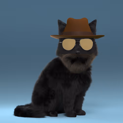 Fluffy Punkcats