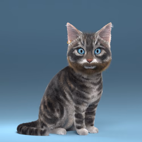 Fluffy PunkCat #9384