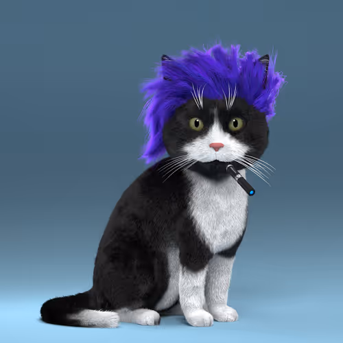 Fluffy Punkcats