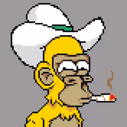 Apeson #372