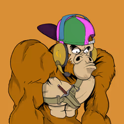 141