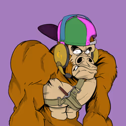 64