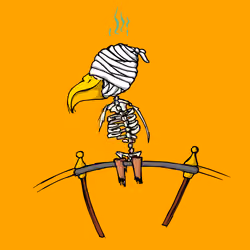 79