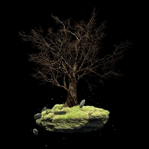 The Crypto Trees