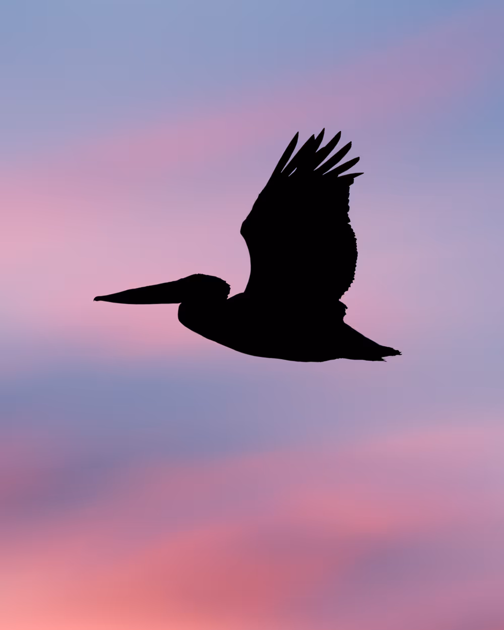Adrift