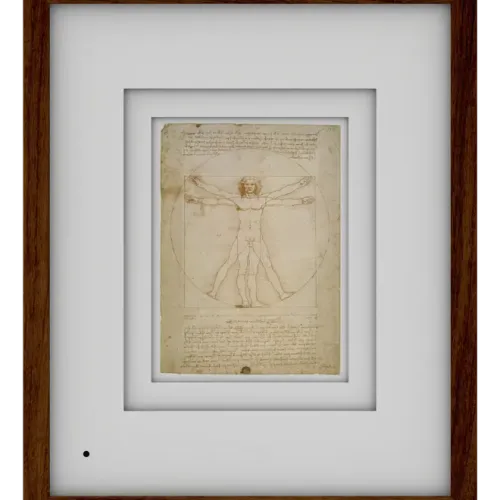 Vitruvian Man #74