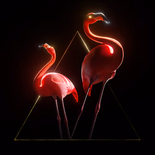 Item #1100010001 Media