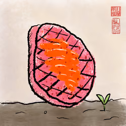 Steak #113