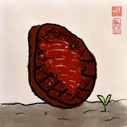 Steak #1527