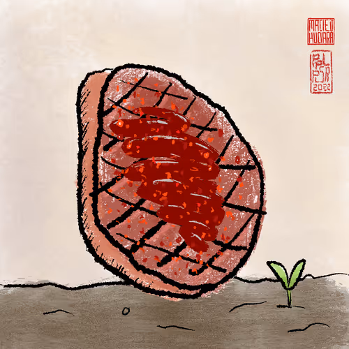 Steak #388