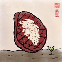 Steak #497