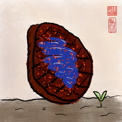 Steak #643