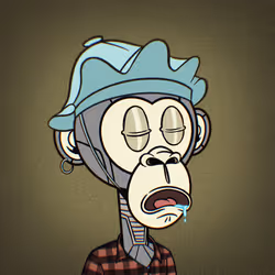 41