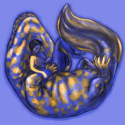 Salamander