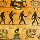 Homo Sapiens 2019