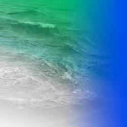 155