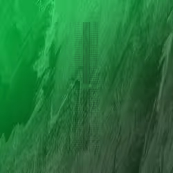 67