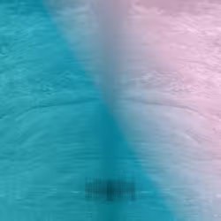 88