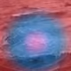 79