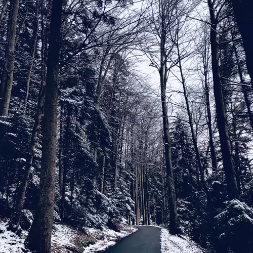 The Way to the Goal Edition