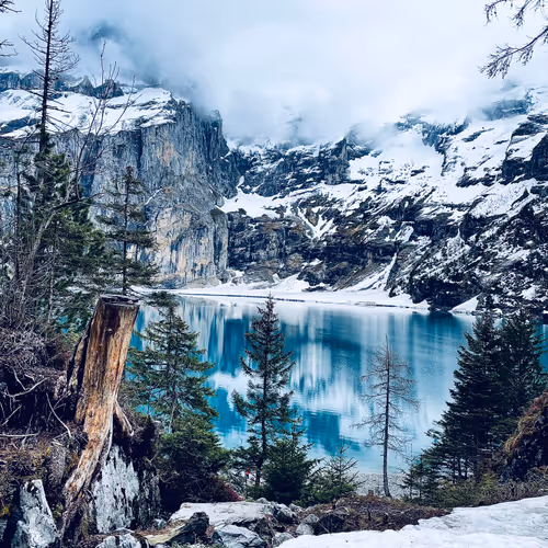 BurnassoCelebratesSmartContract