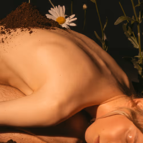 Rebirth - DbSBQ2zRNq