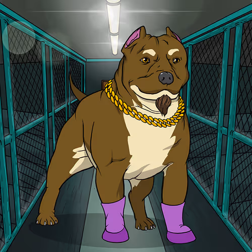 Petlife Malebullies
