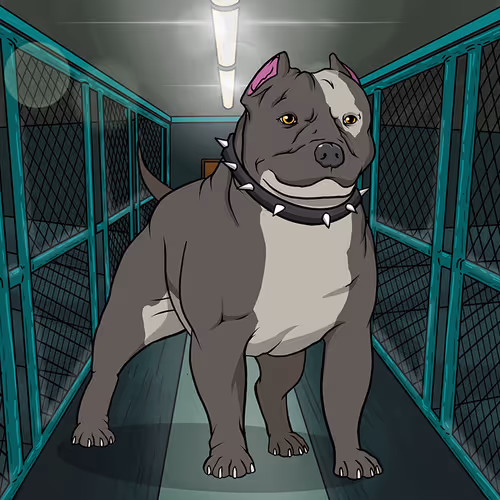 Petlife Malebullies