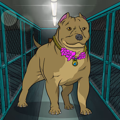 Petlife Malebullies
