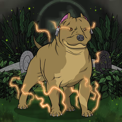 Petlife Malebullies
