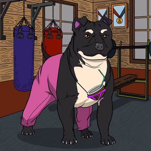 Petlife Malebullies