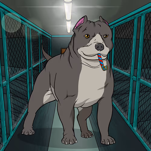 Petlife Malebullies
