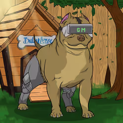 Bully #316