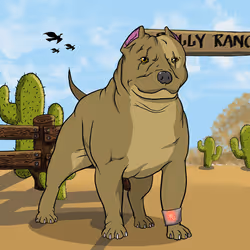Bully #1626