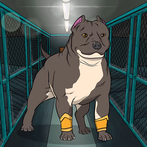 Petlife Malebullies
