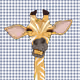 2351