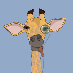 797