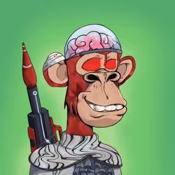 EvolutionApes#2685