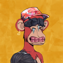 EvolutionApes#4538