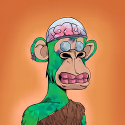 EvolutionApes#689