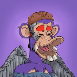 EvolutionApes#3049